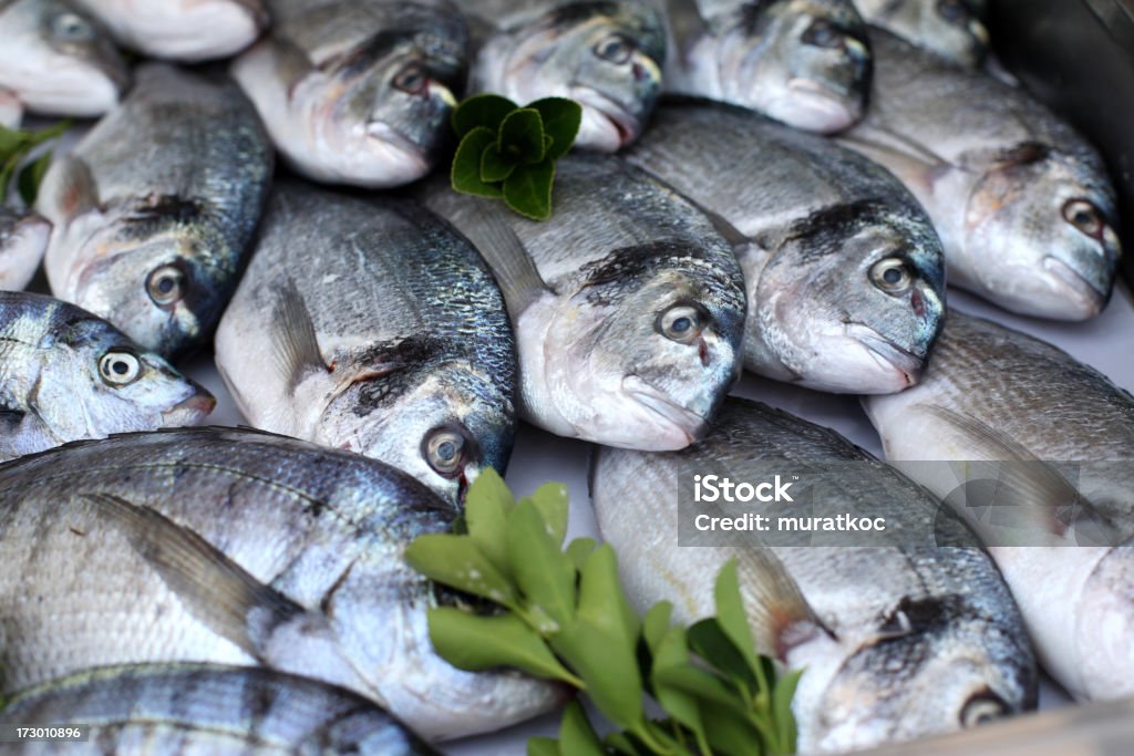 fish market-새끼를 낳은 적이 없는 암퇘지-헤드 bream - 로열티 프리 군집 동물 스톡 사진