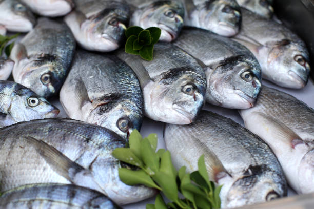istock Close-up of gilt-head bream inside a fish market 173010896