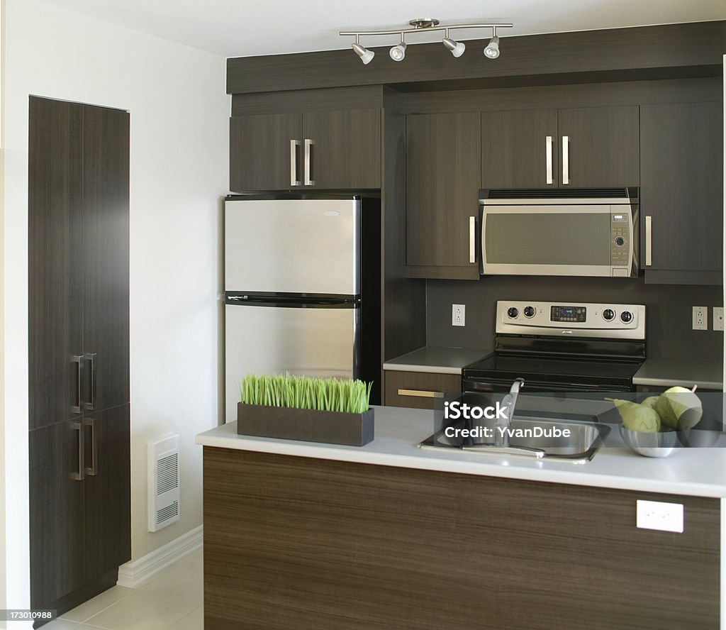 Moderna Cozinha - Royalty-free Apartamento Foto de stock