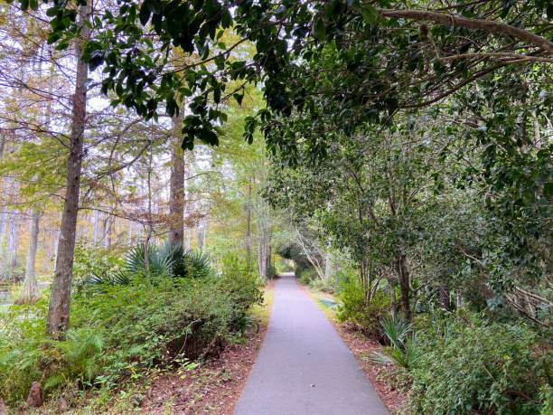 istock Cypress Gardens in Moncks Corner, South Carolina 1730110610