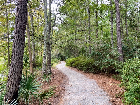 Cypress Gardens in Moncks Corner, South Carolina