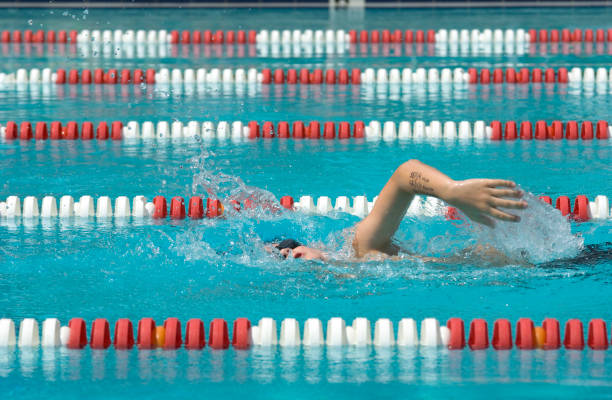 istock Swimming Freestyle Race With Event Numbers 173011260