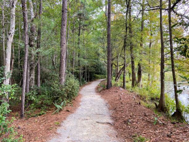istock Cypress Gardens in Moncks Corner, South Carolina 1730113308
