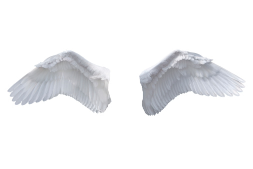 Aislado blanco alas de ángel photo