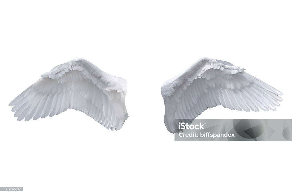 Isolated White Angel Wings "Detailed shot of the wings of a white swan.Great for your angelic composites.For an image with the wings in use, please see:" Angel Stock Photo