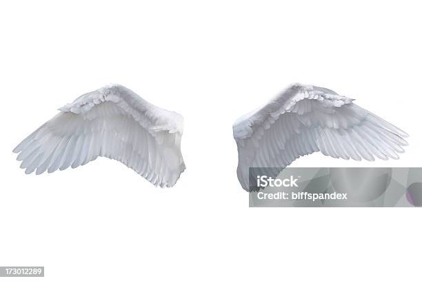 Isolated White Angel Wings Stock Photo - Download Image Now - Angel, Animal Wing, Cut Out