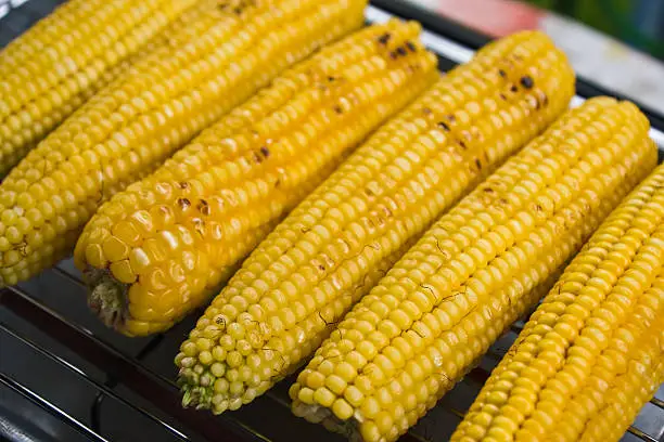 Close-up of corn cooking on the grill