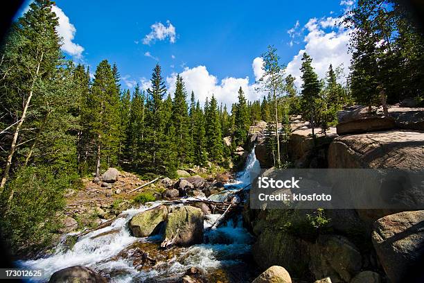 Albertawasserfall Der Rocky Mountain National Park Stockfoto und mehr Bilder von Baum