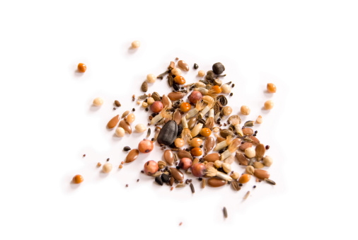 A selection of British wild flower seeds isolated on a white background.
