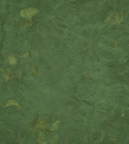 istock green art paper with leaves 173013042