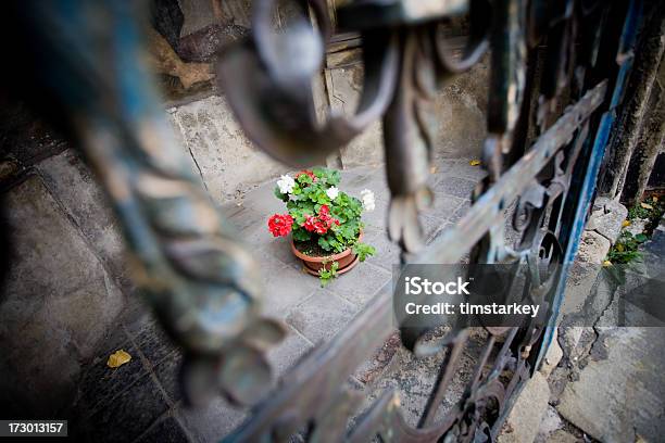 Foto de Flores De Praga e mais fotos de stock de Amor - Amor, Capitais internacionais, Cerca