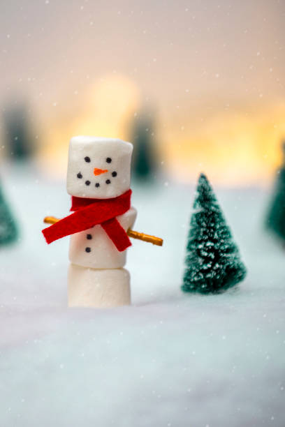 istock Marshmallow Snowman Outside on Winter Day 1730135027