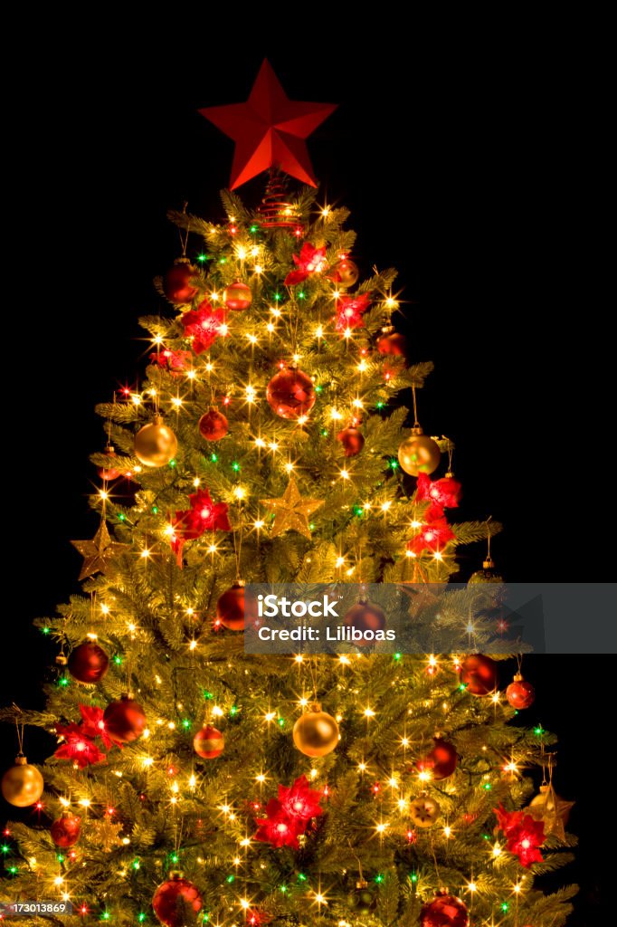 Christmas Tree (XXL) A Christmas tree on black. Black Background Stock Photo
