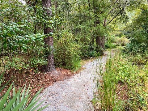 Cypress Gardens in Moncks Corner, South Carolina