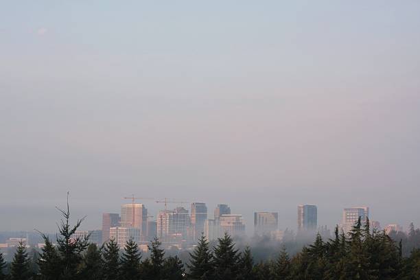 istock Bellevue Downtown Foggy Morning 173014322