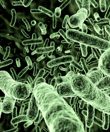 Royalty free 3d rendering. Microscopic view of green bacteria (germs).