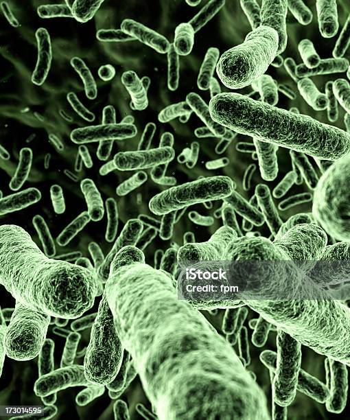 Bacteria Green Stock Photo - Download Image Now - Flesh-Eating Bacteria, Bacterium, Electron Microscope