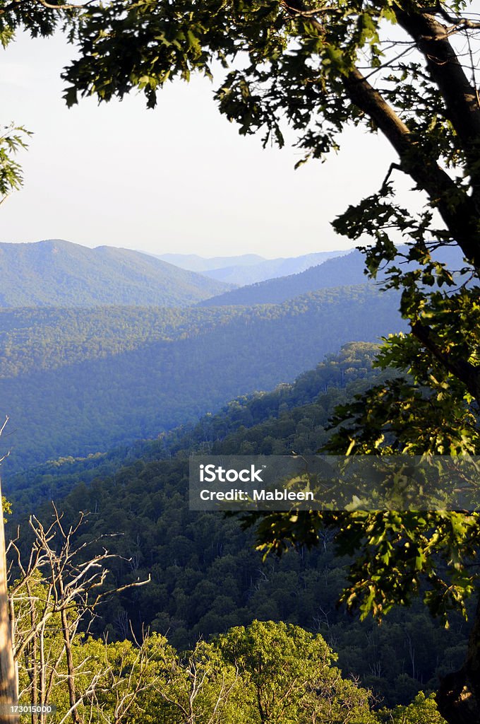 Catena montuosa del Blue Ridge, Virginia, Stati Uniti - Foto stock royalty-free di Catena montuosa del Blue Ridge