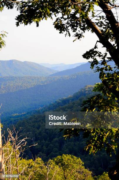 Catena Montuosa Del Blue Ridge Virginia Stati Uniti - Fotografie stock e altre immagini di Catena montuosa del Blue Ridge