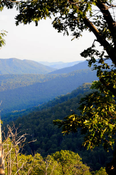 istock Blue Ridge mountains, Virginia, USA 173015000