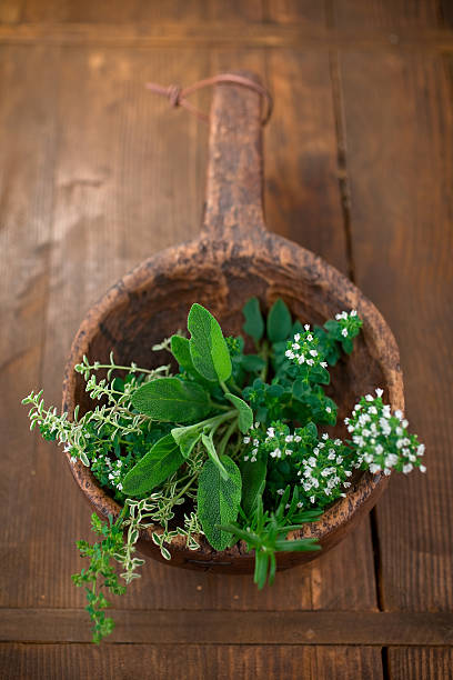 erbe aromatiche - rosemary flower single flower flower head foto e immagini stock