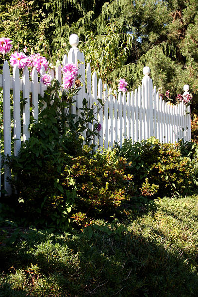 bianco steccato - picket fence grass gardens nature foto e immagini stock