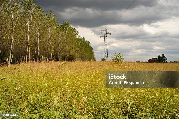 Photo libre de droit de Electric Tempête Pittoresque banque d'images et plus d'images libres de droit de Arbre - Arbre, Ciel couvert, Ciel orageux