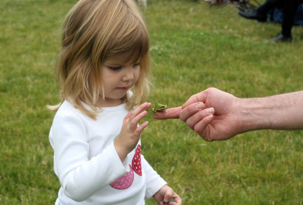 istock Little Girl Meeting Small Frog 173015359