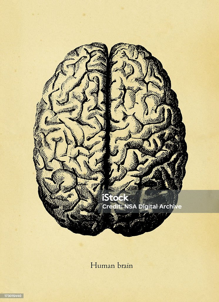 Мозг человека - Стоковые иллюстрации Психическое здоровье роялти-фри