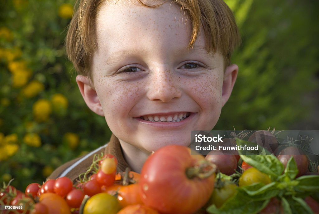 Criança Gardener, rapaz com filho de Tomate Heirloom produtos hortícolas - Royalty-free 4-5 Anos Foto de stock