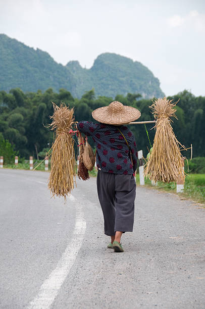 Asian Farm Worker stock photo