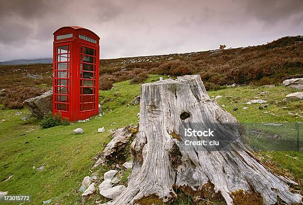 Caja De Teléfono En Escocia Rural Detrás Tocón De Árbol Foto de stock y más banco de imágenes de Cabina de teléfono