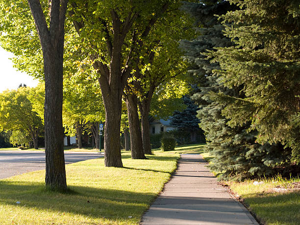istock neighborhood sidewalk and trees 173016324
