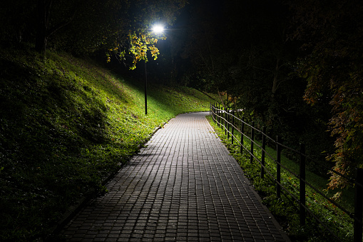 Landscape in a night autumn park. There is a flagstone path, street lamp and trees.