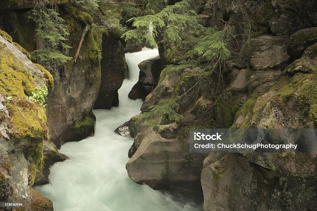 Glacier Nationalpark Wasserfall Cascade Gorge - Lizenzfrei Abgeschiedenheit Stock-Foto