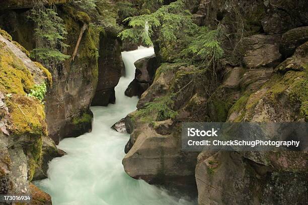 Photo libre de droit de Cascade De Glacier Park banque d'images et plus d'images libres de droit de Au bord de - Au bord de, Beauté de la nature, Bush australien