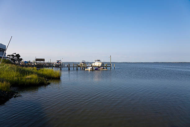 istock Fishing Pier at Dawn 173017125