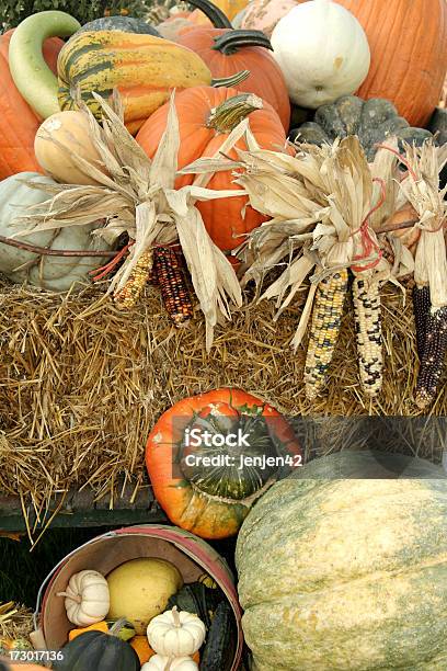 秋の収穫 - インディアンコーンのストックフォトや画像を多数ご用意 - インディアンコーン, ウリ類, オレンジ色