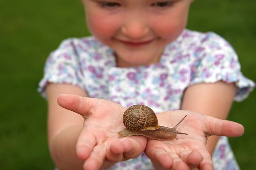 A little girl holding a snail. Can also be used to composite other objects onto the hands.