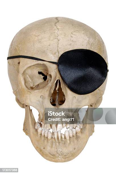 Foto de Caveira De Pirata e mais fotos de stock de Roupa de pirata - Roupa de pirata, Anatomia, Assustador