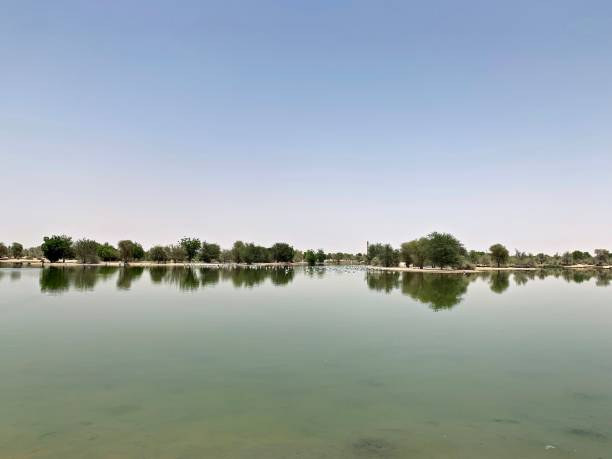 istock Flamingo lake in the Arabic desert 1730174488