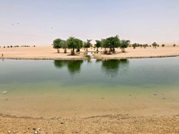 istock Crescent Moon lake in the arabic desert 1730174490