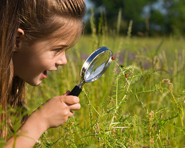 i spy ein marienkäfer - child discovery surprise playing stock-fotos und bilder