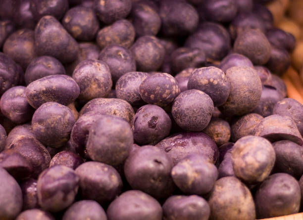 Blu Potatos - foto stock