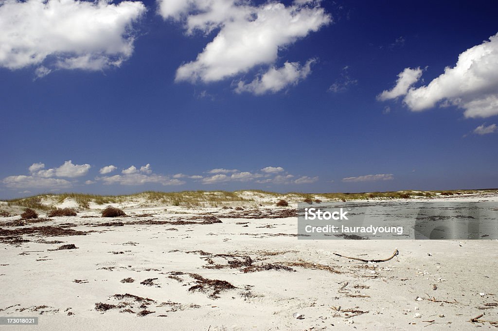 Dunes en Cumberland Island, Georgia - Foto de stock de Georgia - Estado de EEUU libre de derechos