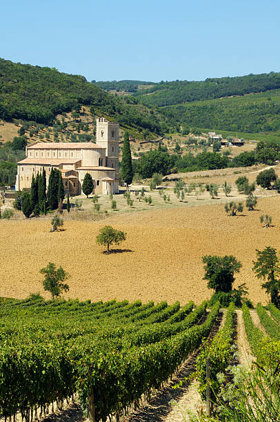 istock Medieval abbey and vineyard in Tuscany 173018145
