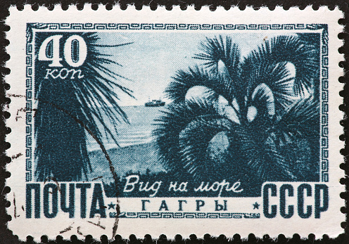 Russian stamp with tropical port.