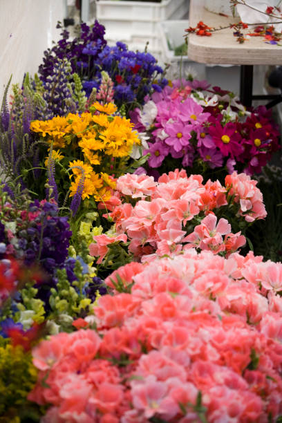 istock Inside a fresh flower market stall canopy 173018554