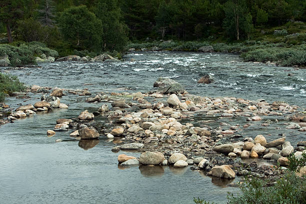 istock Norwegian valley with stony river in summer. 173018591