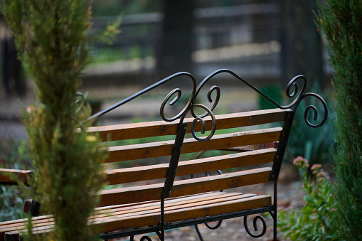 Wooden park bench.